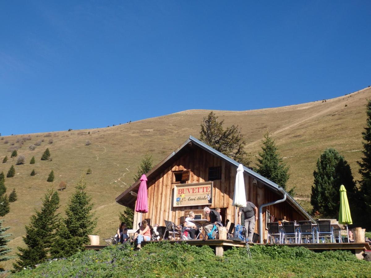 Au Coeur Des Alpes Bed & Breakfast Marignier Eksteriør bilde