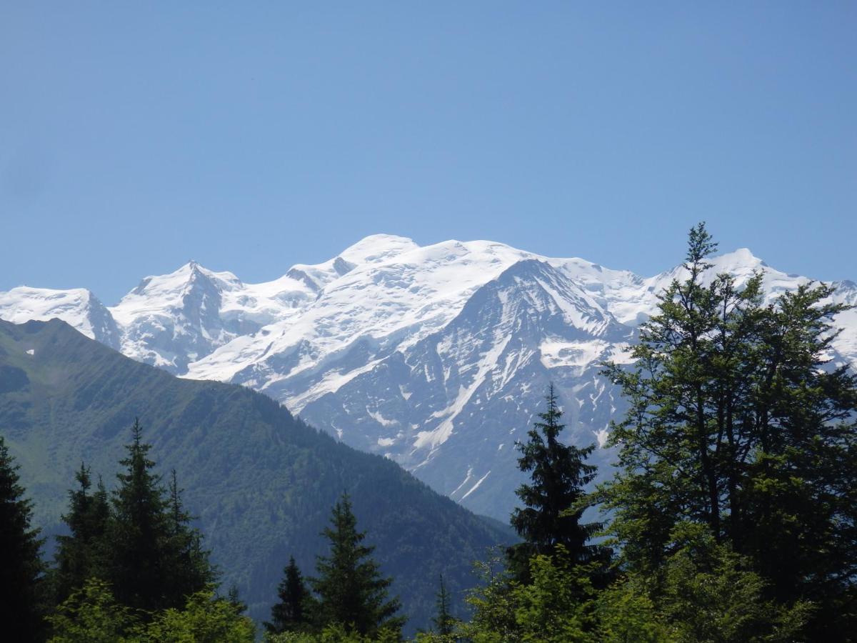 Au Coeur Des Alpes Bed & Breakfast Marignier Eksteriør bilde